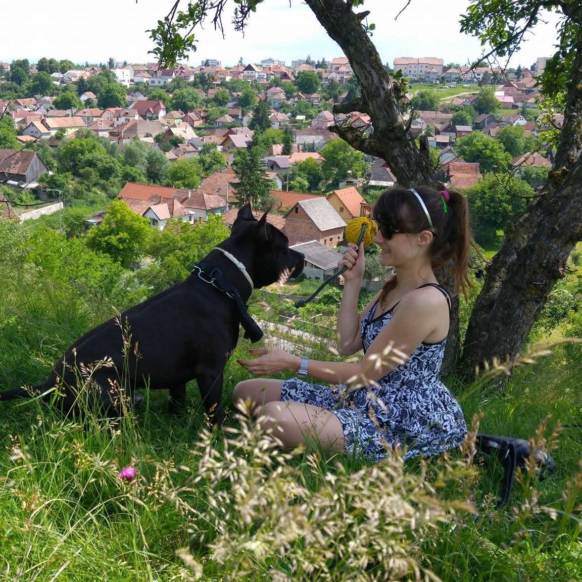 🐾 Ottilia und Ralf (Amstaff)